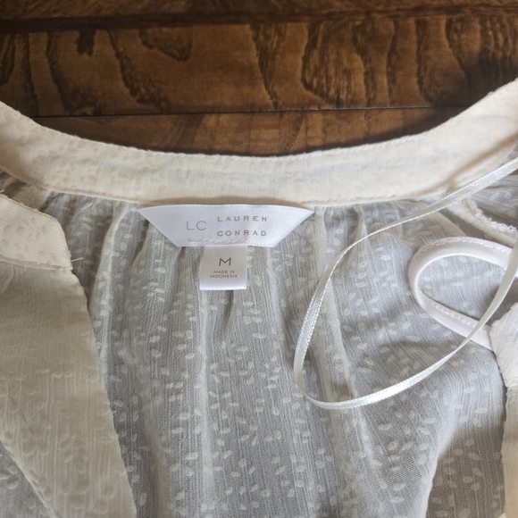 LC Lauren Conrad Ivory Sheer Dress. Size M - Picture 2 of 9